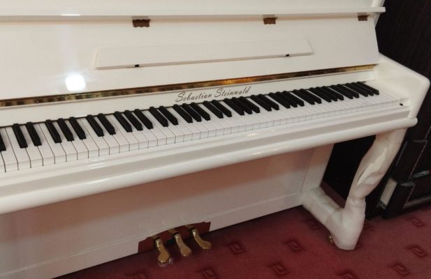 پیانو آکوستیک سباستین اشتین والد مدل S123