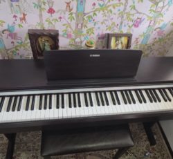 پیانو یاماها YDP142