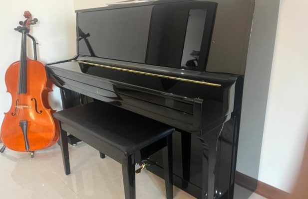 پیانوی پرل ریور up115 m2